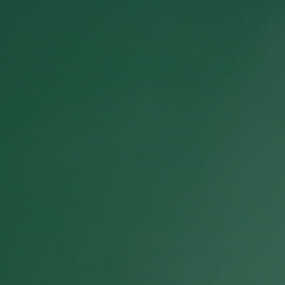 MG2357 - Vert Bouteille Brillant 2